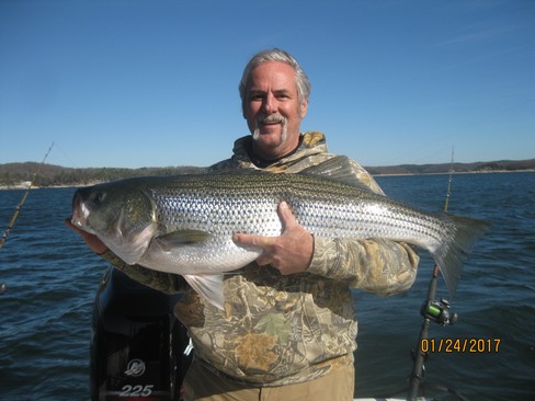 Nice Striped Bass